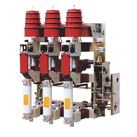 FZN25-12戶內(nèi)高壓真空負(fù)荷開關(guān)